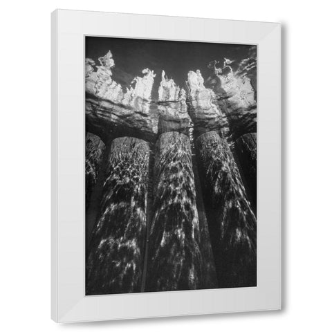 Pier Pilings VII White Modern Wood Framed Art Print by Peterson, Lee