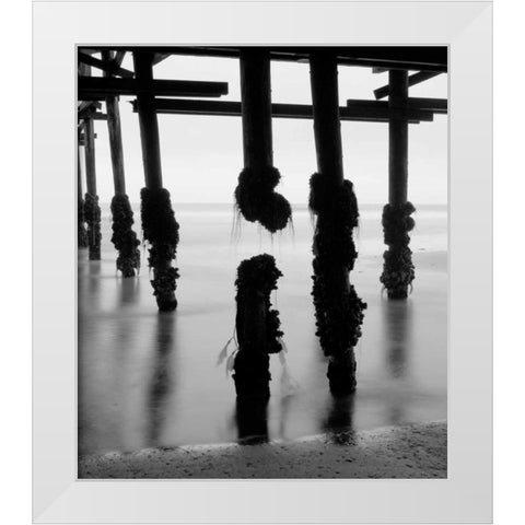 Pier Pilings X White Modern Wood Framed Art Print by Peterson, Lee