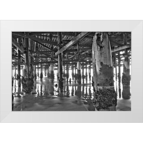Pier Pilings XI White Modern Wood Framed Art Print by Peterson, Lee