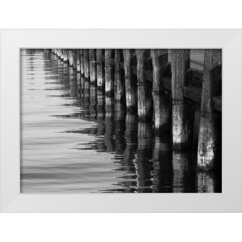 Pier Pilings XII White Modern Wood Framed Art Print by Peterson, Lee