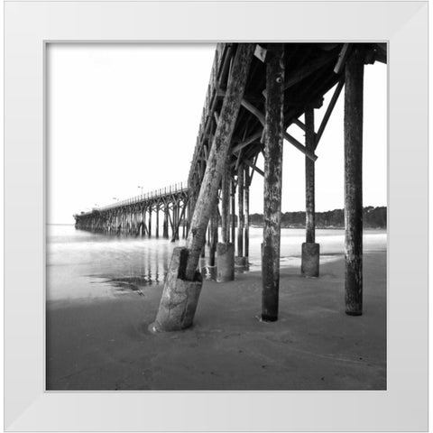 Pier Pilings XIX White Modern Wood Framed Art Print by Peterson, Lee