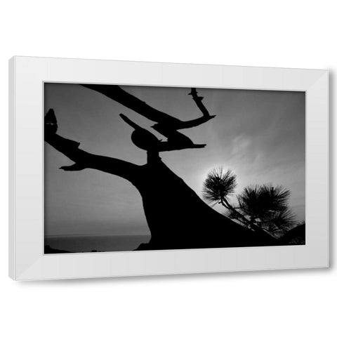 Tree I White Modern Wood Framed Art Print by Peterson, Lee
