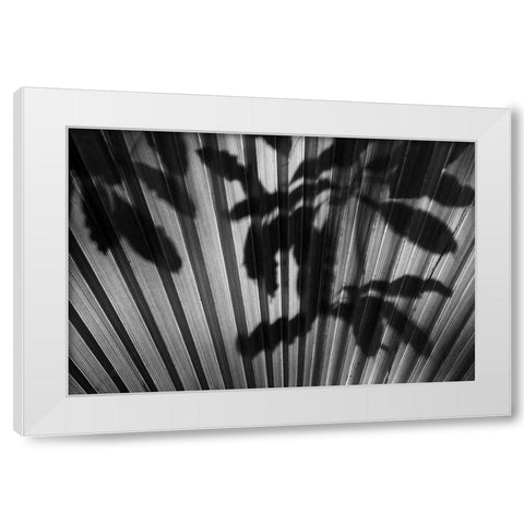Shadow III White Modern Wood Framed Art Print by Peterson, Lee