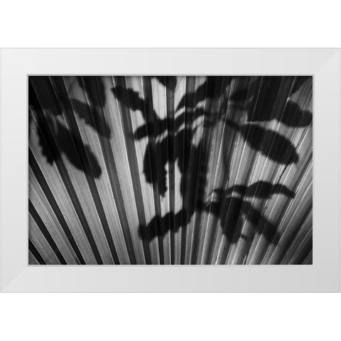 Shadow III White Modern Wood Framed Art Print by Peterson, Lee