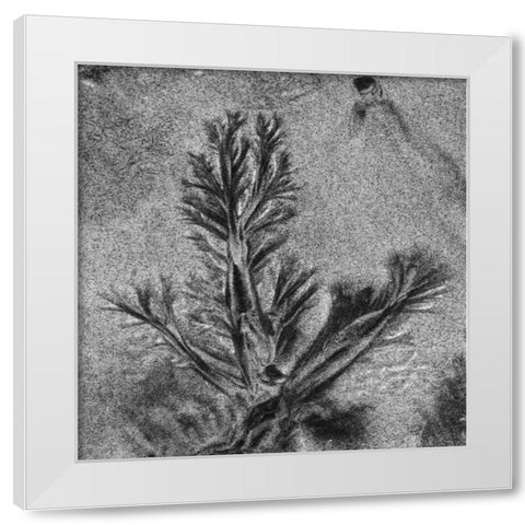 Texture Sand VIII White Modern Wood Framed Art Print by Peterson, Lee