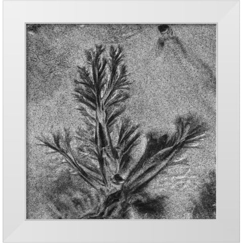 Texture Sand VIII White Modern Wood Framed Art Print by Peterson, Lee