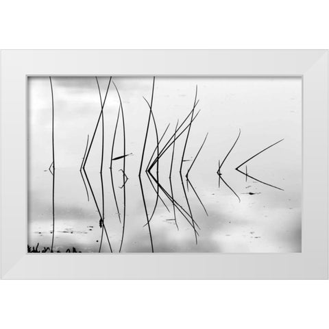 Reeds I White Modern Wood Framed Art Print by Peterson, Lee