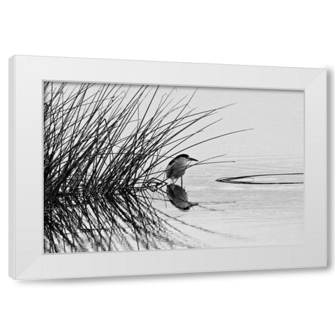 Bird I White Modern Wood Framed Art Print by Peterson, Lee
