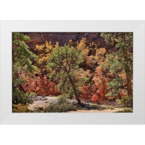Fall Leaves V White Modern Wood Framed Art Print by Peterson, Lee