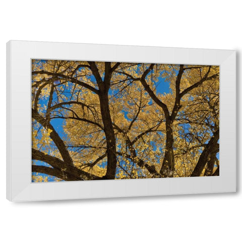 Fall Leaves VII White Modern Wood Framed Art Print by Peterson, Lee