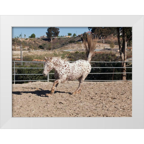Happy Horse II White Modern Wood Framed Art Print by Peterson, Lee