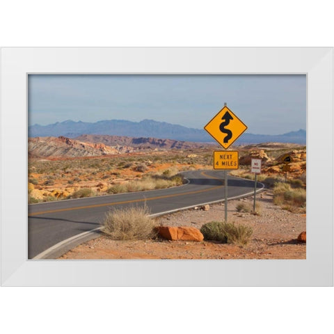 Desert Roads I White Modern Wood Framed Art Print by Peterson, Lee