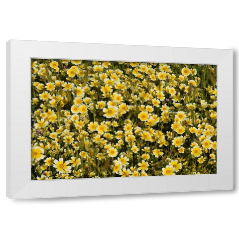 Yellow and White I White Modern Wood Framed Art Print by Peterson, Lee