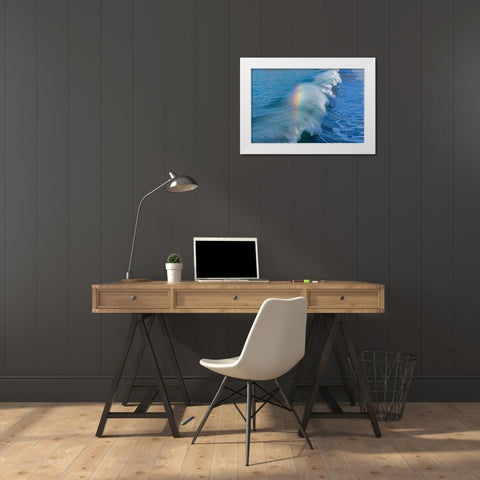 Rainbow Wave II White Modern Wood Framed Art Print by Peterson, Lee