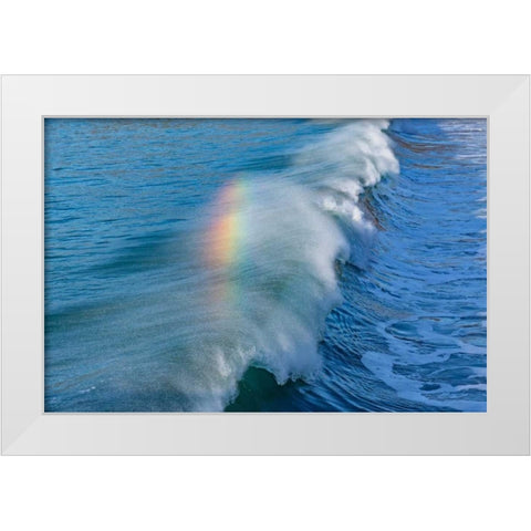 Rainbow Wave II White Modern Wood Framed Art Print by Peterson, Lee