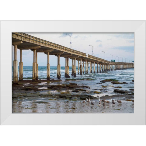 Ocean Beach Pier I White Modern Wood Framed Art Print by Peterson, Lee