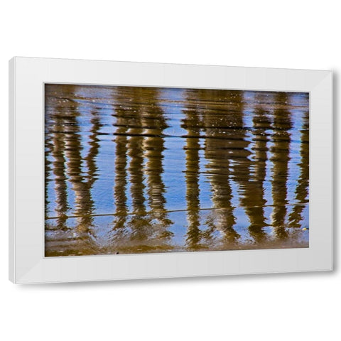 Pier Reflections II White Modern Wood Framed Art Print by Peterson, Lee