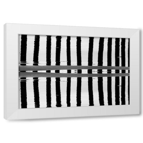 Reflected Dual Pilings White Modern Wood Framed Art Print by Peterson, Lee