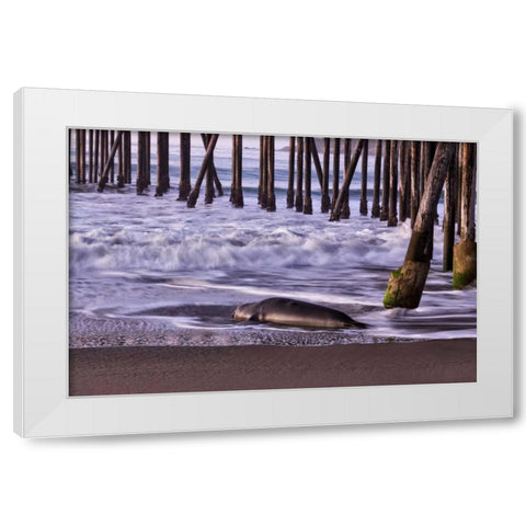 San Simeon Pier I White Modern Wood Framed Art Print by Peterson, Lee