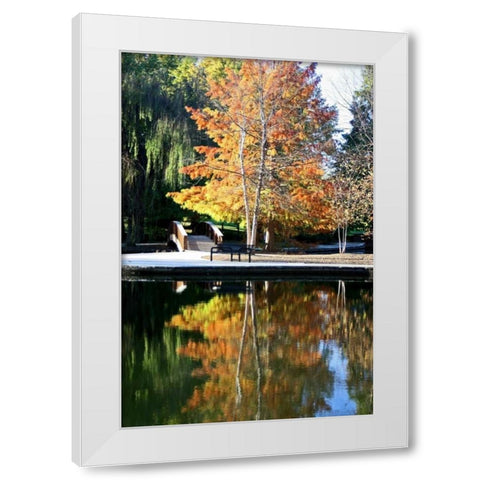 Fall Colors White Modern Wood Framed Art Print by Putman, Tammy