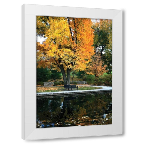 Fall in the Park White Modern Wood Framed Art Print by Putman, Tammy