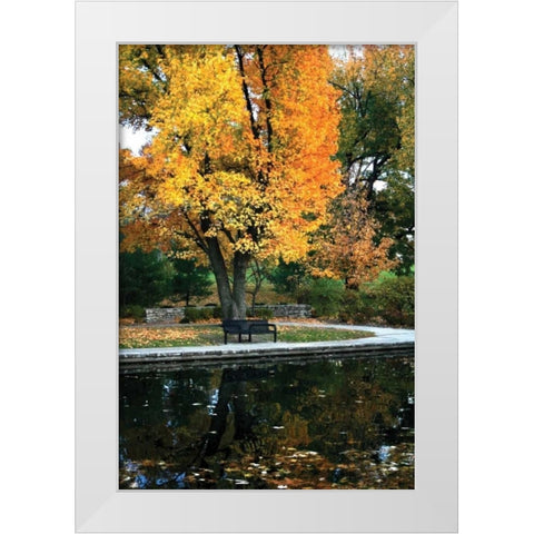 Fall in the Park White Modern Wood Framed Art Print by Putman, Tammy