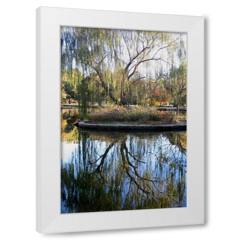 Willow in Fall White Modern Wood Framed Art Print by Putman, Tammy