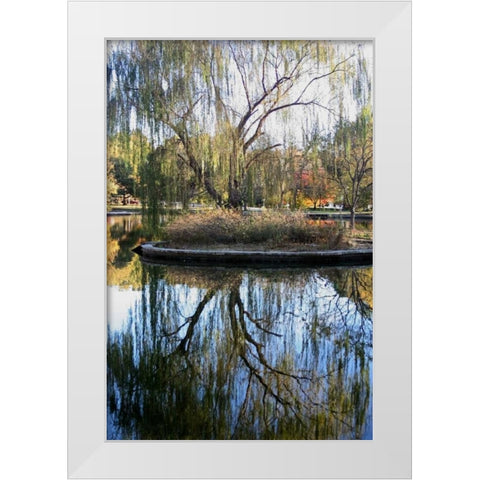 Willow in Fall White Modern Wood Framed Art Print by Putman, Tammy