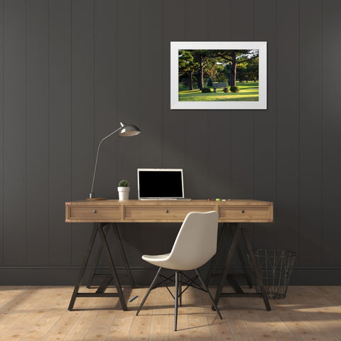Bench I White Modern Wood Framed Art Print by Putman, Tammy