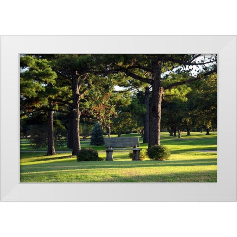 Bench I White Modern Wood Framed Art Print by Putman, Tammy
