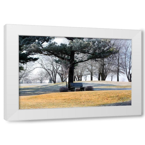 Bench II White Modern Wood Framed Art Print by Putman, Tammy