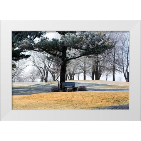 Bench II White Modern Wood Framed Art Print by Putman, Tammy