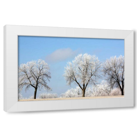 Frozen Fog I White Modern Wood Framed Art Print by Putman, Tammy