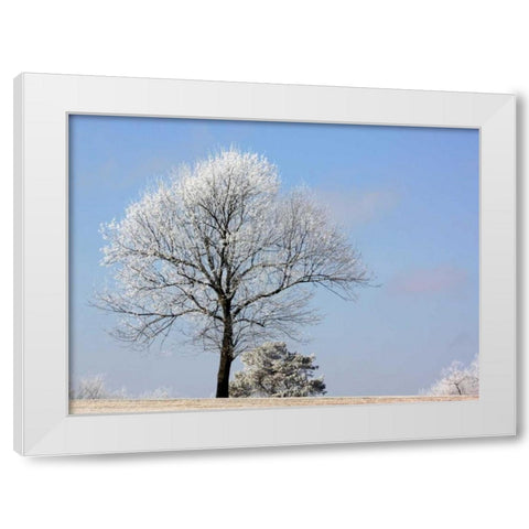 Frozen Fog II White Modern Wood Framed Art Print by Putman, Tammy