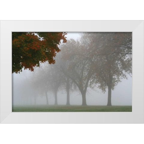 Foggy Trees I White Modern Wood Framed Art Print by Putman, Tammy