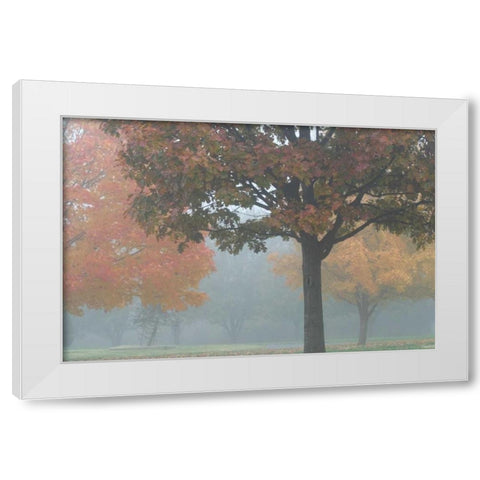 Foggy Trees II White Modern Wood Framed Art Print by Putman, Tammy