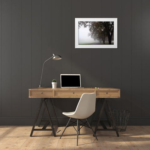 Foggy Trees III White Modern Wood Framed Art Print by Putman, Tammy