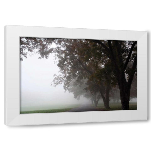 Foggy Trees III White Modern Wood Framed Art Print by Putman, Tammy