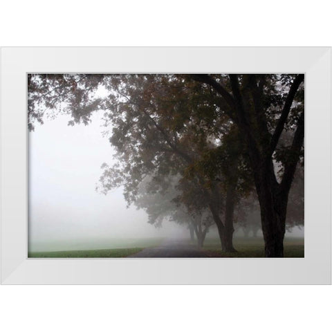 Foggy Trees III White Modern Wood Framed Art Print by Putman, Tammy