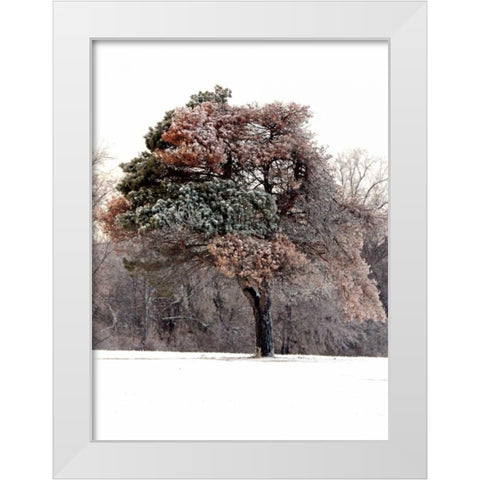 Tree in Snow I White Modern Wood Framed Art Print by Putman, Tammy