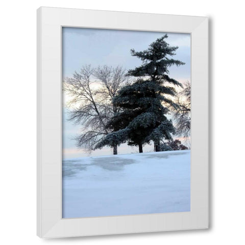 Tree in Snow II White Modern Wood Framed Art Print by Putman, Tammy