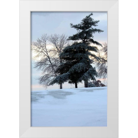 Tree in Snow II White Modern Wood Framed Art Print by Putman, Tammy