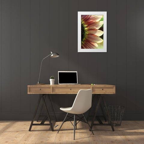 Sunflower IV White Modern Wood Framed Art Print by Putman, Tammy