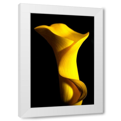 Yellow Lily White Modern Wood Framed Art Print by Putman, Tammy