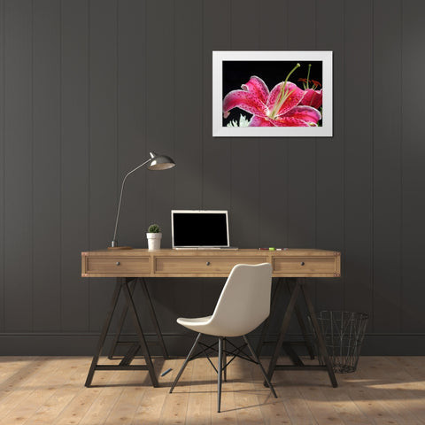Pink Lily White Modern Wood Framed Art Print by Putman, Tammy