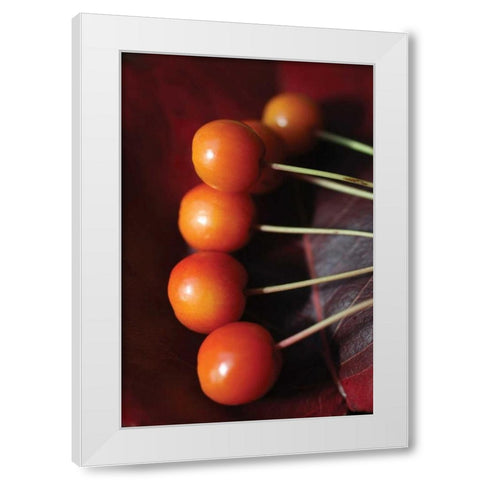 Berries I White Modern Wood Framed Art Print by Putman, Tammy