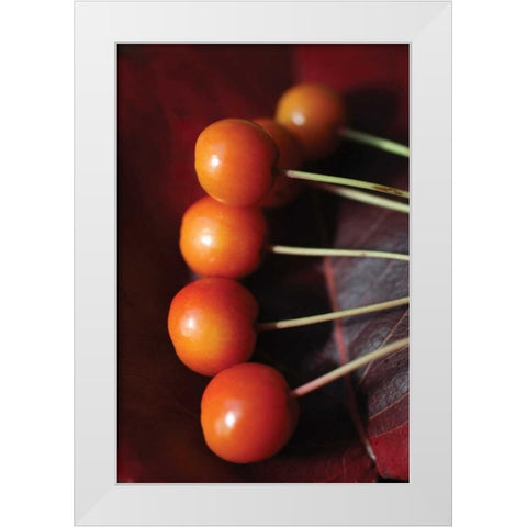 Berries I White Modern Wood Framed Art Print by Putman, Tammy