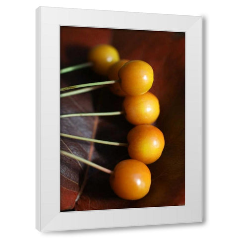 Berries II White Modern Wood Framed Art Print by Putman, Tammy