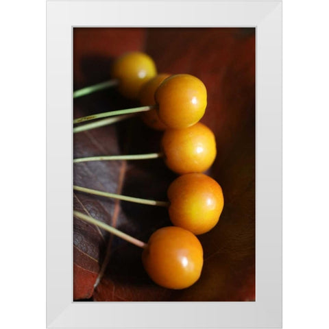 Berries II White Modern Wood Framed Art Print by Putman, Tammy