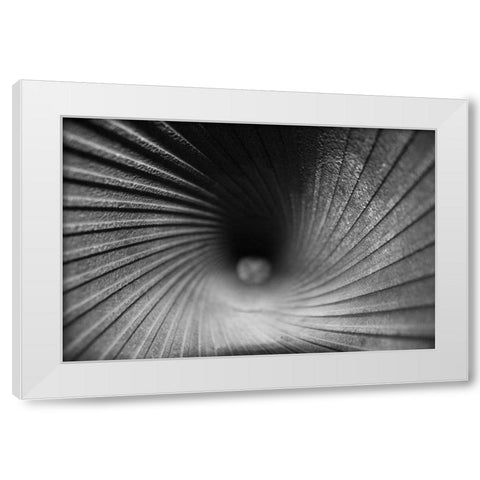Inside a Howitzer White Modern Wood Framed Art Print by Putman, Tammy